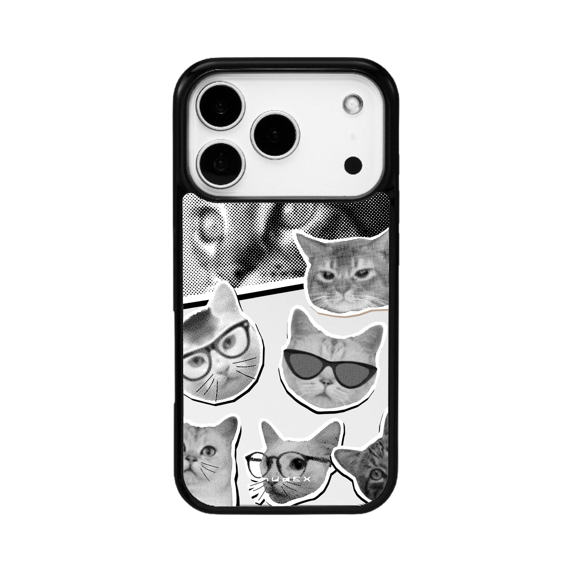 Cool Cats