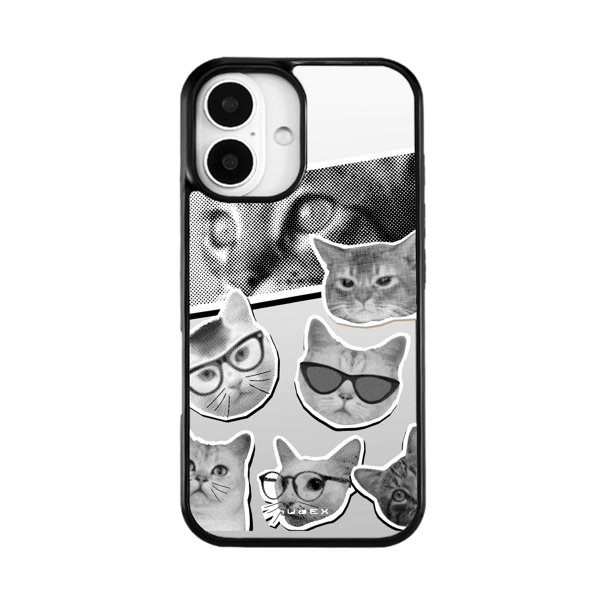 Cool Cats