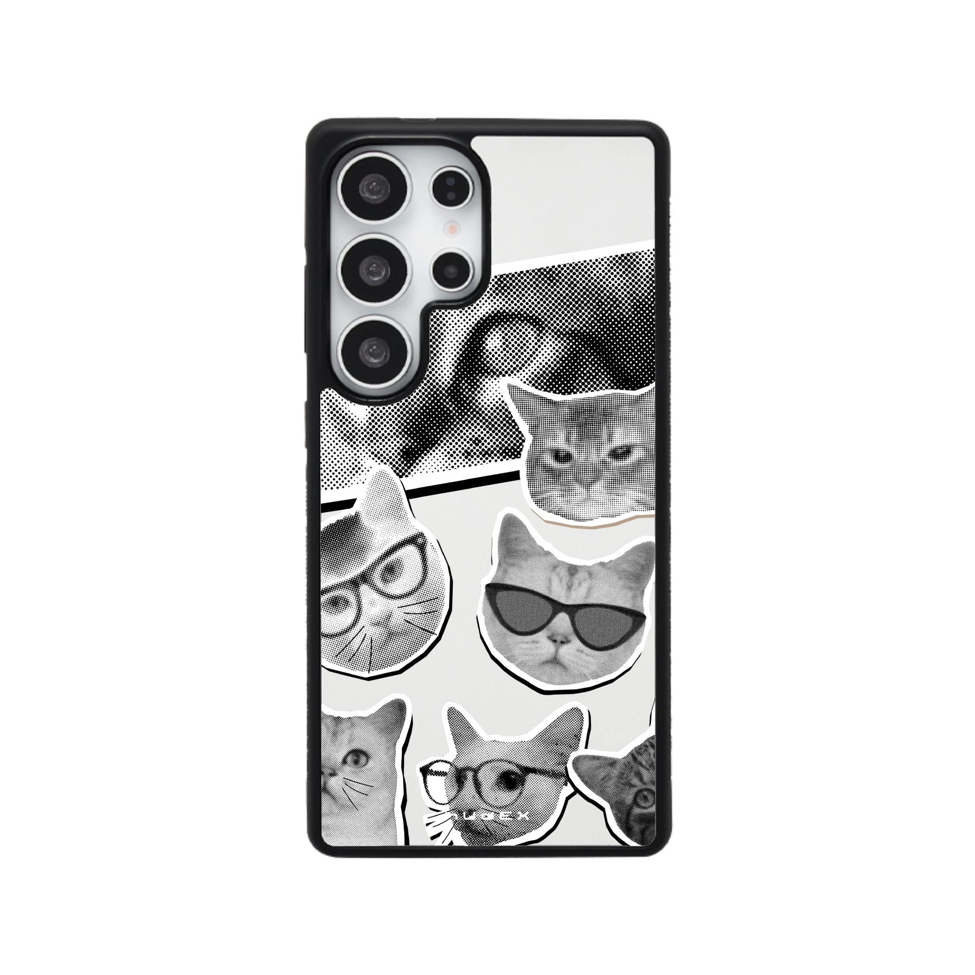 Cool Cats